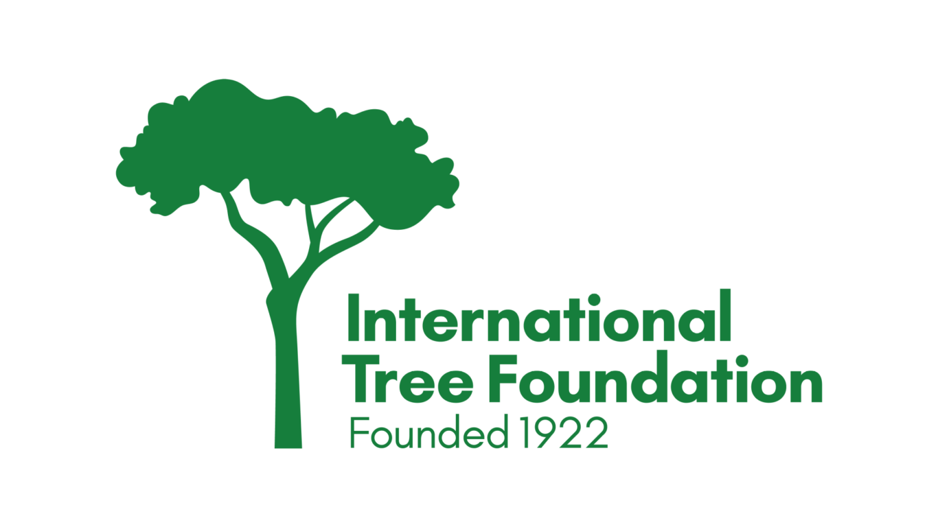 ITF Full Logo website